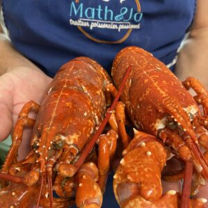 Homard bleu européen