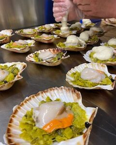 Coquille St Jacques - Math&Jo