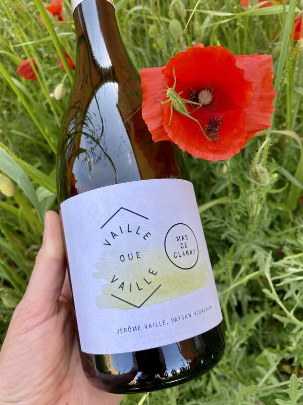 vin blanc mas de clanny