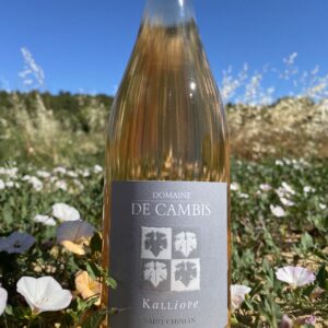 rosé domaine de Cambis